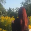 vissiilinnea