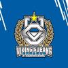 vikingsubangfanshop