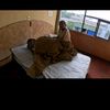 zaid.mndez