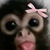 .mike.negri