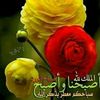 user2633403128493