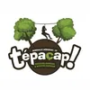 Tépacap Mérignac