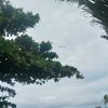 userkepo123_