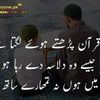 muhammadadeel8977