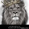 user9631800925847