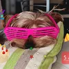 daisy_23_12
