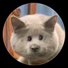 bsunly