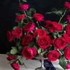 user843502004706