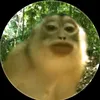mamnhi