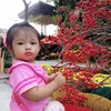 haty0310