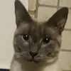 ceciliagamarra43