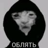 user29619981882854