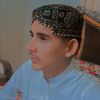 fareedali2478