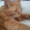 iluv_r0bl0x