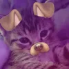 an_dje.la