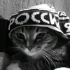 kotbitbox