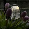 anony_1650