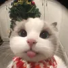 baebaebaeee99