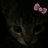 nnnnn0nnn