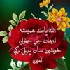 syedniazalishah50