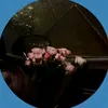 minaqueen185