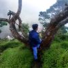 arull_3108