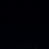 heribertoncarneir7