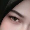 daa_4209