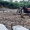 joao21212177