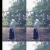 cyank_qu21