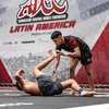 matheusbtaga_bjj