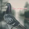 عاشق الوت✌✈️