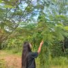 binusunarimagar6