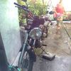 reynaldoliboon4