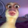 cchel.se
