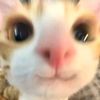 lisa_2926he