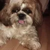peermller6