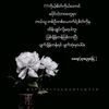 user8236175481198