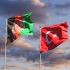 turkafg2