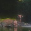 timlinden11