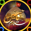 shakeelabbas8293