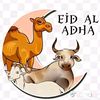 m.abill1234567