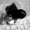 stee_14.05