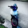 cong_vu08