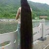 bunda4986