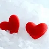 ehsanehsani0