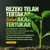 user8507618124252