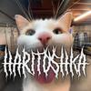 haritoshka