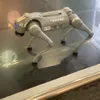 petiti144