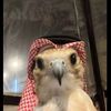 saqri_555